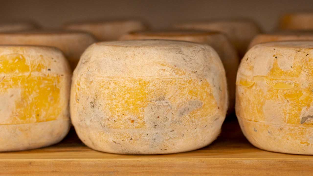 Mitkä juustolajit joutuvat muuttamaan nimeään Mercosurin ja Euroopan unionin välisen sopimuksen vuoksi?